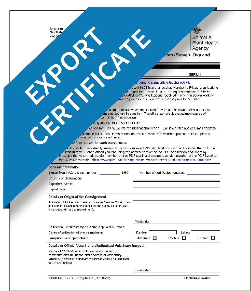 Export certificate – Express Apostille Service